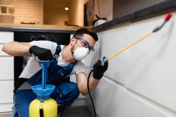 Best Ant Control Services  in Centerton, AR