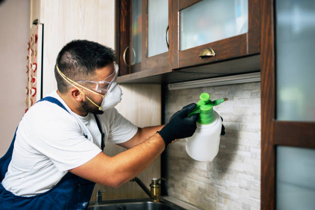 Best Emergency Pest Control  in Centerton, AR